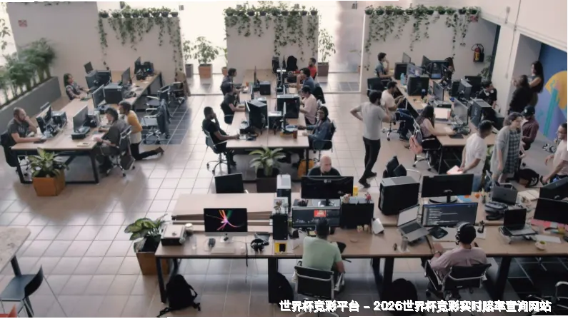 透明、理性、陪伴